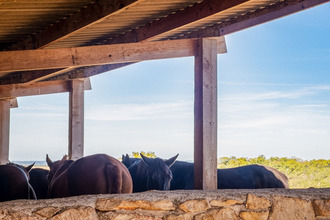 achat divers tournon-d-agenais 47370