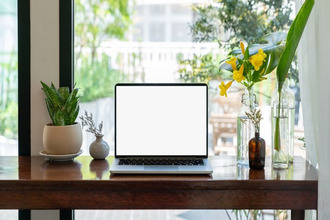 achat divers vannes 56000