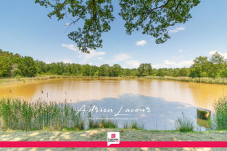 achat divers veilleins 41230