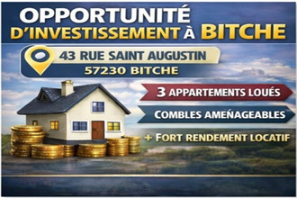 achat immeuble bitche 57230