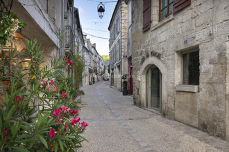 achat immeuble brantome 24310