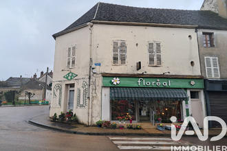 achat immeuble brienon-sur-armancon 89210