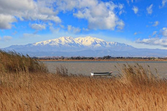 achat immeuble canet-en-roussillon 66140
