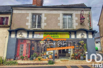 achat immeuble cour-cheverny 41700