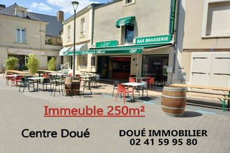 achat immeuble doue-la-fontaine 49700