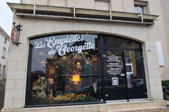 achat immeuble doue-la-fontaine 49700