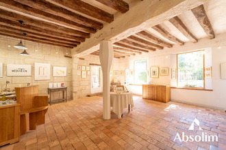 achat immeuble fontevraud-l-abbaye 49590