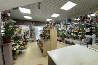 achat immeuble frontignan 34110