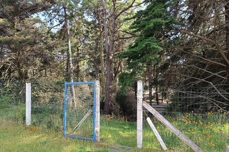 achat immeuble la-barre-de-mts 85550