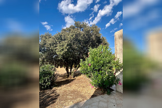 achat immeuble lumio 20260