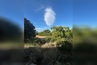 achat immeuble lumio 20260