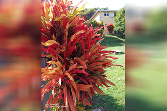 achat immeuble marigot 97225