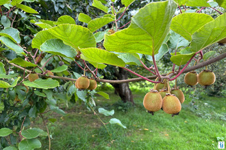 achat immeuble martigny 76880