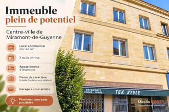 achat immeuble miramt-de-guyenne 47800