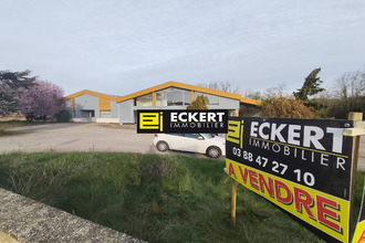 achat immeuble odratzheim 67520