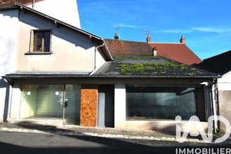 achat immeuble ouzouer-sur-trezee 45250