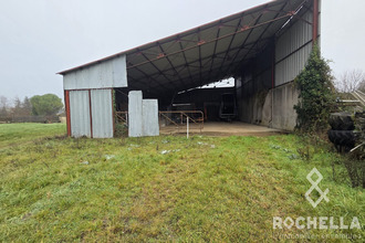 achat immeuble paille 17470