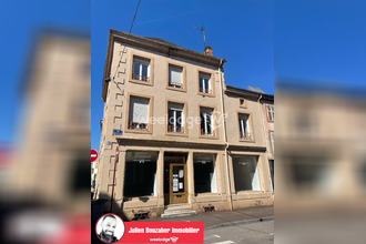 achat immeuble raon-l-etape 88110