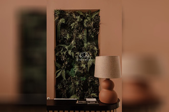 achat immeuble roanne 42300