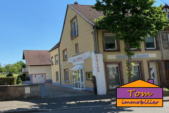 achat immeuble sarre-union 67260
