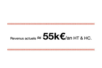 achat immeuble st-andre-de-cubzac 33240