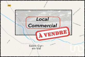 achat immeuble st-cyr-en-val 45590