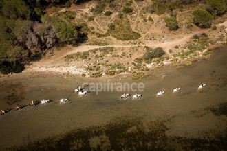 achat immeuble stes-maries-de-la-mer 13460