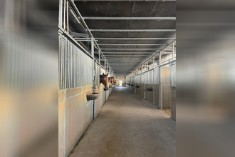 achat immeuble surzur 56450