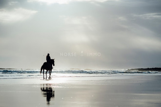 achat immeuble toulon 83000