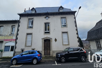 achat immeuble vic-sur-cere 15800