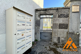 achat immeuble vic-sur-cere 15800