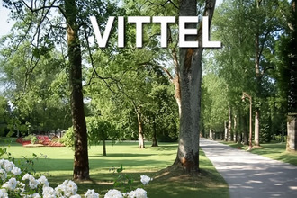 achat immeuble vittel 88800