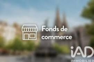 achat localcommercial angers 49100