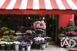achat localcommercial angers 49100