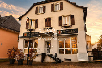 achat localcommercial bartenheim 68870