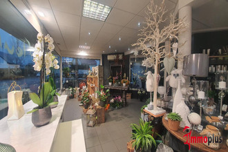 achat localcommercial bartenheim 68870