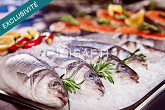 achat localcommercial bormes-les-mimosas 83230