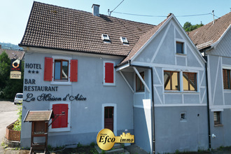 achat localcommercial breitenbach-haut-rhin 68380