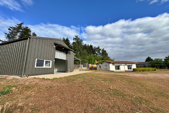 achat localcommercial briennon 42720