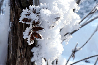 achat localcommercial chamonix-mt-blanc 74400