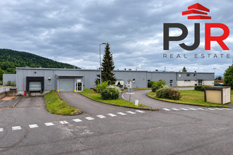 achat localcommercial cleurie 88120