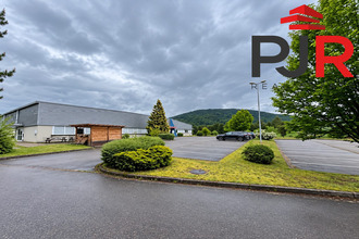 achat localcommercial cleurie 88120