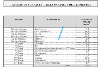 achat localcommercial croix 59170