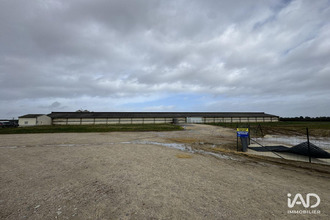 achat localcommercial dange-st-romain 86220