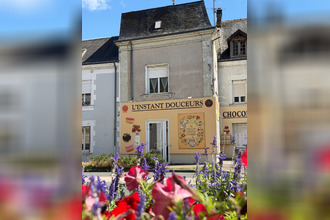 achat localcommercial dange-st-romain 86220