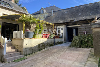 achat localcommercial faye-d-anjou 49380