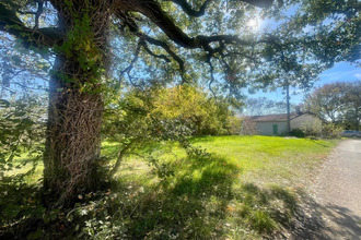 achat localcommercial fenols 81600