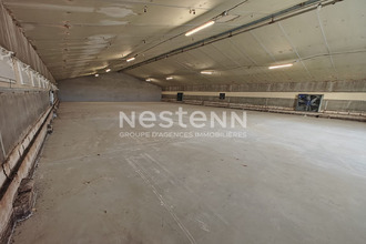 achat localcommercial fosse 41330