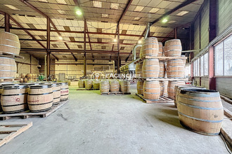 achat localcommercial gaillac 81600