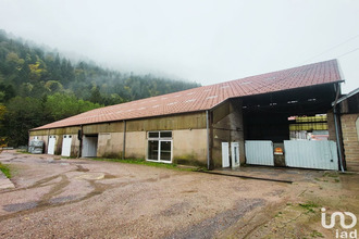 achat localcommercial gerardmer 88400